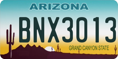 AZ license plate BNX3013