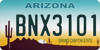 AZ license plate BNX3101
