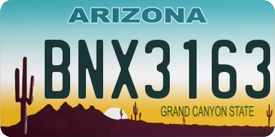 AZ license plate BNX3163