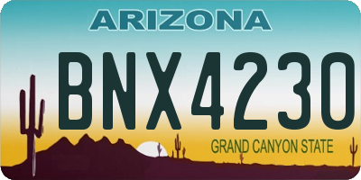 AZ license plate BNX4230