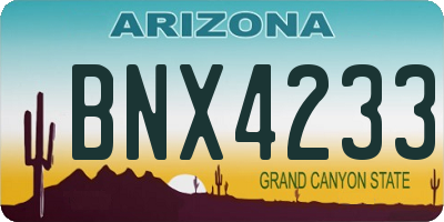 AZ license plate BNX4233