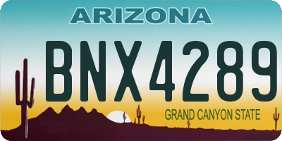 AZ license plate BNX4289