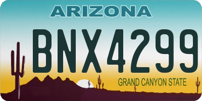 AZ license plate BNX4299