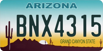 AZ license plate BNX4315