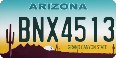 AZ license plate BNX4513