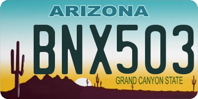 AZ license plate BNX503