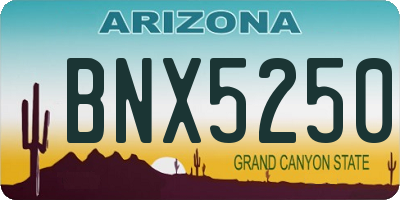 AZ license plate BNX5250