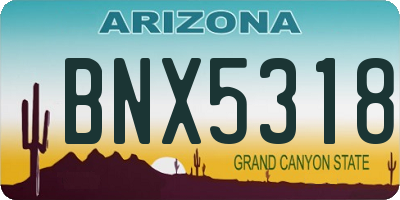 AZ license plate BNX5318