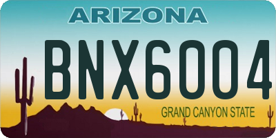 AZ license plate BNX6004