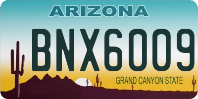 AZ license plate BNX6009