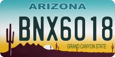 AZ license plate BNX6018