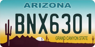 AZ license plate BNX6301