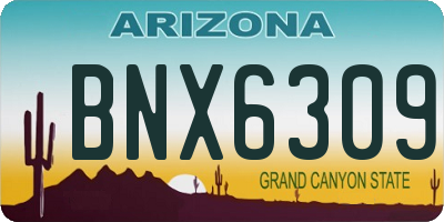 AZ license plate BNX6309