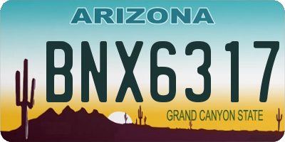 AZ license plate BNX6317
