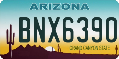 AZ license plate BNX6390