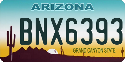 AZ license plate BNX6393