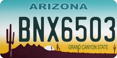 AZ license plate BNX6503
