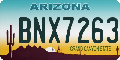 AZ license plate BNX7263