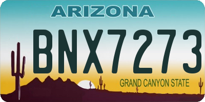 AZ license plate BNX7273