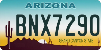 AZ license plate BNX7290