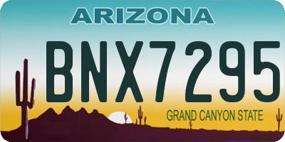 AZ license plate BNX7295