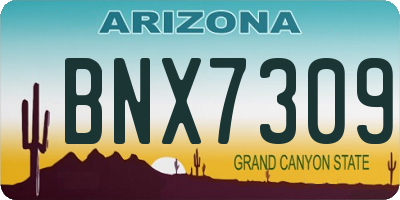 AZ license plate BNX7309