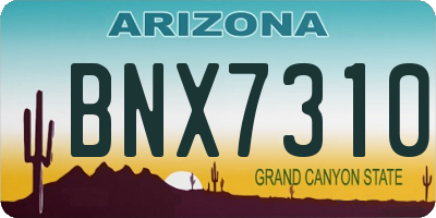 AZ license plate BNX7310