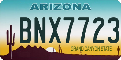 AZ license plate BNX7723