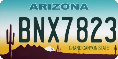 AZ license plate BNX7823