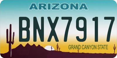 AZ license plate BNX7917