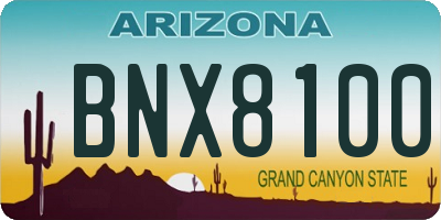 AZ license plate BNX8100