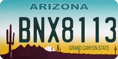 AZ license plate BNX8113