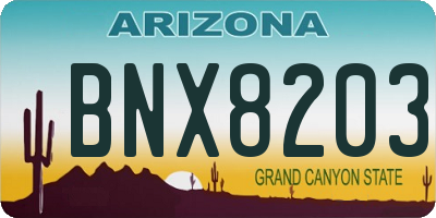 AZ license plate BNX8203