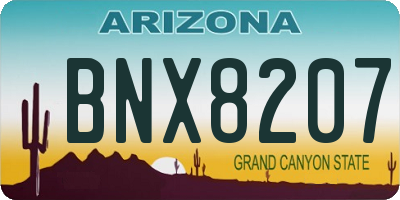 AZ license plate BNX8207