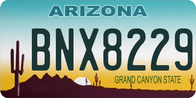 AZ license plate BNX8229