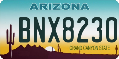 AZ license plate BNX8230