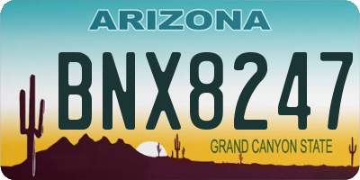AZ license plate BNX8247