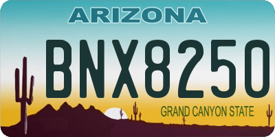 AZ license plate BNX8250