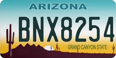 AZ license plate BNX8254