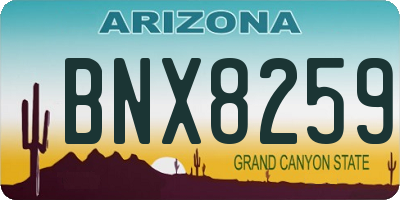 AZ license plate BNX8259