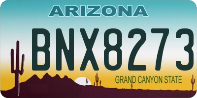 AZ license plate BNX8273