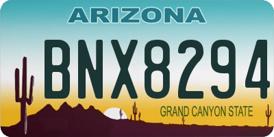 AZ license plate BNX8294