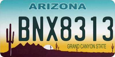 AZ license plate BNX8313