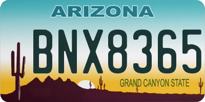 AZ license plate BNX8365