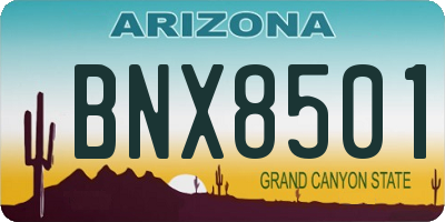 AZ license plate BNX8501