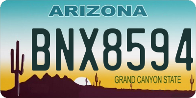 AZ license plate BNX8594