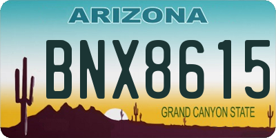 AZ license plate BNX8615