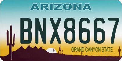 AZ license plate BNX8667