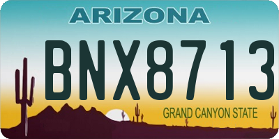 AZ license plate BNX8713