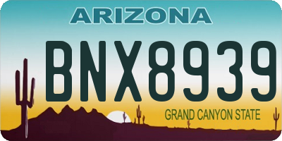 AZ license plate BNX8939